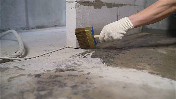 24/7 Emergency Crawl Space Encapsulation experts in Port Byron, IL